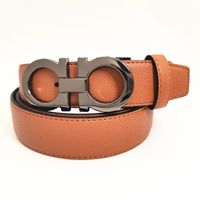 Brown belt + gray buckle