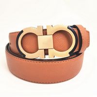 Brown belt + gold and black buckle 2
