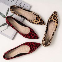 زائد حجم 35-42 LEOPARD LEOPARD المسطحات المدببة في إصبع القدم المتسابقات الضحلة على أحذية السيدات اللباس المكتب البالرينياس Mujer Mocasines