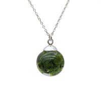 Colliers pendants verts berzelia lanuginosa vraie fleur en verre balle sterling argent couleurs chaîne