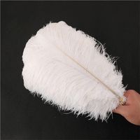 30- 35cm Diy Ostrich Feathers Plumes Craft Supplies For Weddi...