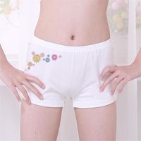 Panties 12 Years Girl Boxers Teen Girls Underwear Bottoms Pa...