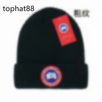 Wholesale Dropshipping N-FL Beanies Hats Embroidery Caps Knitted Winter  Rams Chargers Bengals - China Men Designer Hat and Luxury Designers Hat  Fashions price
