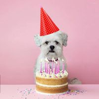 Ropa para perros práctico perrito de cumpleaños juego de pañales a prueba de humedad limpia fácilmente sombreros de fiesta con lindo cono de mascotas con bufanda