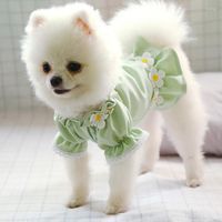 Köpek Giyim Yaz İnce Prenses Elbise Teddy Bichon Pomeranian Köpek Kıyafetleri Schnauzer Giyim Desen Malzeme Menşe Mevsimi