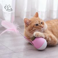 Toys Cat Pet Catnip Ball Kitten Toy 3 en 1 Multi-fonction Tumbler Cat à menthe comestible Chat Chasing Game Interactive Feather