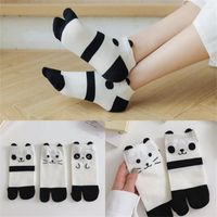 Kadınlar Çorap Sevimli Panda Kedi Yumuşak Hediye Sokken Yüksek Kaliteli Japon Ayak Parçaları Dropship