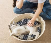 Cama de gato de palha redonda Pet Small Kennel Dog Sofa