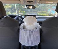 Cat Carrierscrates Casas Portables Camilla para perros Mat Mat de la cardilla Asiento de seguridad de la perrera Antidirtytransport Protector PE
