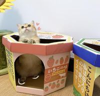 Kedi yatak mobilya oyuncak dondurma kapma tahtası yuva oluklu kağıt kutu evcil hayvan malzemeleri tünel yatak ilginç etkileşim