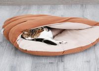 Katzenbetten Möbel Höhle Schlaf Schneckendesign Schlaf tief Bett Profil für Haustiere Winterwärme und Form