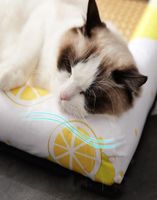 고양이와 개 쿠션 라운드 침대 가구를위한 개 개집 여름 고양이 매트 애완 동물 소파 침대