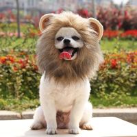 Bérets 2023 Lion oreilles de perruque chat et chapeau de chien Pet Advable Turnable en vêtements drôles Headgear