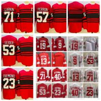 Detroit Red Wings #13 Pavel Datsyuk Black Ice Jersey on sale,for  Cheap,wholesale from China