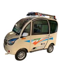 Dört tekerlekli elektrikli çevre koruma otomobil ticari yolcu küçük elektrikli araba