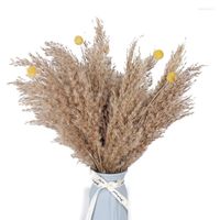 Декоративные цветы сушеные пампас трава декор цветочные растения натуральные для Дня Святого Валентина Подарки Дома