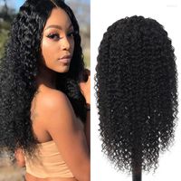 Джерри Curly Wave 13x4 кружевные фронтальные парик человеческие волосы для чернокожих женщин Prepluck Bravilian 13 4 HD закрытие