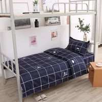 Set di biancheria da letto Luce Luxury Student Dormitory A 3 pezzi Copertina di cuscinetto Copertura Stile semplice