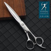Saç makas titanprofessional kuaför makas 7 inç kesim vg10 japanstainless çelik salon berber aracı 230306