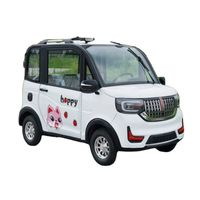 Günstige Elektroauto Elektro -Spielzeugautos für Erwachsene Utility Vehicle EEC Elektrofahrzeugwagen