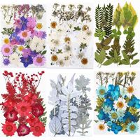 1 paquete de resina seca natural flores prensas plantas secas para marco de bricolaje vela de marcador que hace decoración de arte de uñas 0213