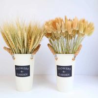 30pcslose argent pour gagner la popularité des plantes d'oreille de blé naturel fleurs séchées pampas rabbit rabbit tail haster home décoration 0213