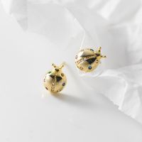 925 STERLING Silver Stud lindo de siete estrellas Ladybug Pendientes de circón de circón para mujeres Declaración de oro Joyería de oro