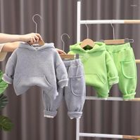 Roupas Conjuntos de roupas Estilo de outono de 05 anos de idade de bebê de manga longa Meninos e meninas calças de suéter com capuz TwoPiece Set9227742