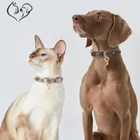 Hundezubehör, Diamant-Intarsien, antikes PU-Leder-Hundehalsband, kleiner Hundehals, Hundehalsband, Katzenhalsbänder mit Diamant-Haustierbedarf