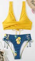 2023 Neuer bedruckter Badeanzug-Bikini-Badeanzug für Damen, Sense of Swimming-Anzug