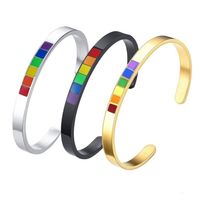 Bangle 6Mm Rainbow Color Cuff Bracelets For Men Women Jewelry Stainless Steel Lesbian Gay Pride Metal Bracelet Pink Lgbt Stripe Gift Dhxzg