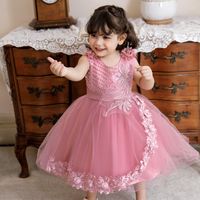 Vestido de princesa para bebês recém-nascidos, primavera, verão, estampado,  tule, babados, sem mangas, roupa boho, rosa, 6 a 12 meses