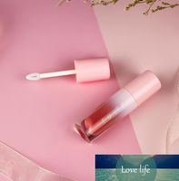 Leerer Lippenbalsam-Glanz-Rohr-Behälter-Rosa-Farben-Lippenpflege-Flaschen-Lippenglanz-Behälter-leere kosmetische Verpackung 30pcs 4ml Großhandel