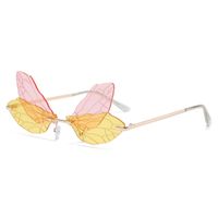 Солнцезащитные очки персонализированные солнцезащитные очки Dragonfly Wings Sunblases Show Show
