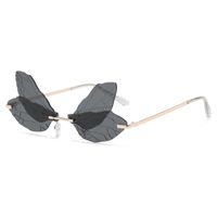 Солнцезащитные очки бабочек персонализированные крылышки дракоза Красивые солнцезащитные очки