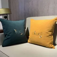 Nordic Modern pillow tabby Luxury designer pillows Living Ro...