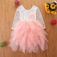 Девушки принцесса платье осень дети малыша модная юбка для девочек с длинным рукавом