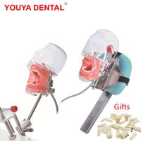 Diğer Oral Hijyen Basit Kafa Modeli Dental Simülatör Phantom Manikin Diş Hekimi Öğretim Uygulaması için Dişli Eğitim Eğitimi Çalışma Diş Hekimliği Ekipmanı 230421