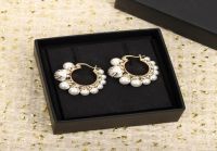 2023 Luxury quality Charm small round shape drop earring wit...