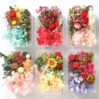Flores decorativas 1 caja Material de flores secas inmortales Productos florales hechos a mano Diy disperso mixto natural natural