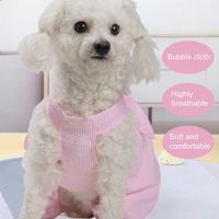 Köpek giyim evcil hayvan aksesuarları gevşek moda sevimli elbise polyester etek günlük yaşam için parlak renk
