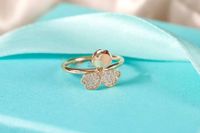 Роскоши Desinger Ring Simple Design Sense Sense Clorches Flowers Silver Ring Ladies Luxury Diamond Ring