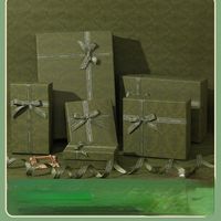 Luxe cadeaubrakontwerper Green Packing Box Bowknot