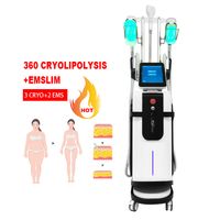 2 in 1 EMS Cryo Body Delfmeming Em Slim Muscle Building 360 Cryo 5 Gestisce Cryo Freezing Freezing Electro Magnetic Muscle Beauty Oggetti