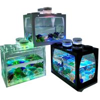 Mini acquario per acquario con luci a led decorazione per ufficio domestico Aquariums Aquariums accessori