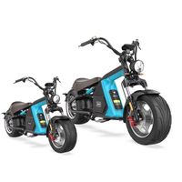 50 mph accessoires de scooter électriques Citycoco Electric Scooter 5 kW