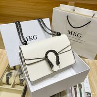 Graceful Luxurys Flap Designers Shoulder Bags Special Totes ...
