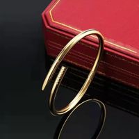 Titan Stahl Gold Charm Schraube Nagel Manschette Armband Armreif für Männer und Frauen Paare Liebhaber Geschenk Schmuck