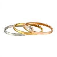 Pulseira de ganga de designer pulseiras de amor de luxo para mulheres zirconia c￺bica 316l j￳ias de a￧o de tit￢nio para presente