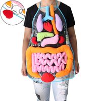 Science Discovery Children Anatomy Apron Apron